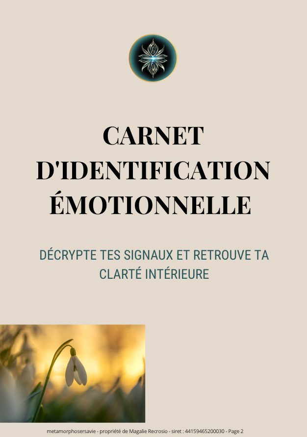 Programme "Éveil" : Carnet d'identification émotionnelle