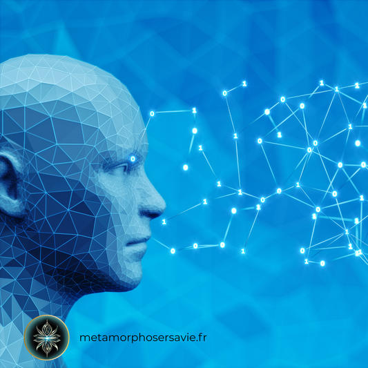 Top 6 compétences inattendues à développer pour une nouvelle vie pro 😊