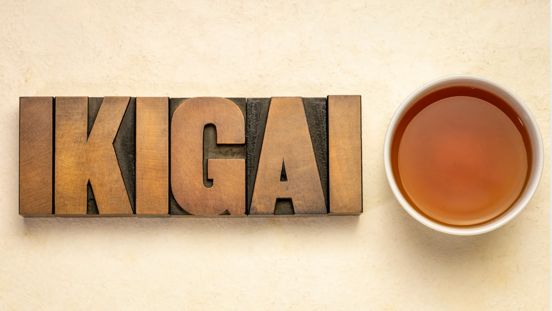 L'Ikigai à 50 ans : et si votre vraie carrière ne faisait que commencer ? 🧐